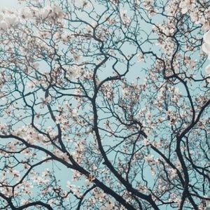 Meet your Posher, Jazmyne